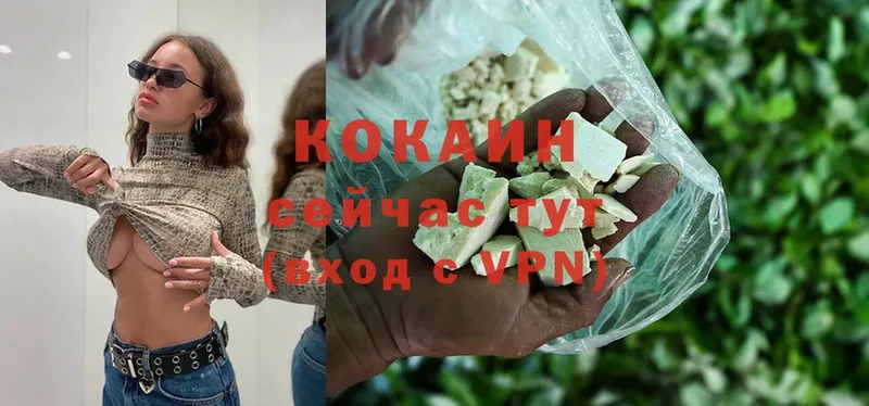 COCAIN Fish Scale Кяхта