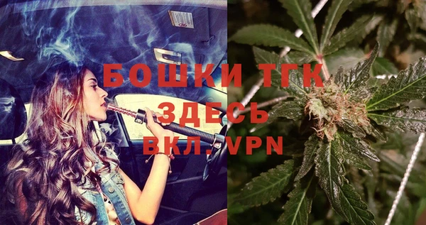 дурь Переславль-Залесский