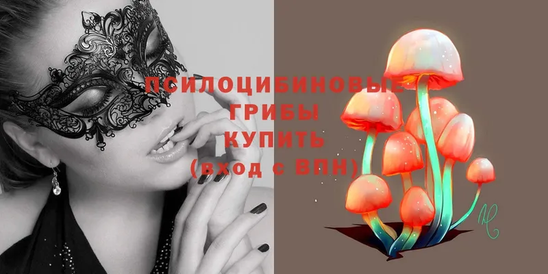 Псилоцибиновые грибы Magic Shrooms  наркошоп  блэк спрут как войти  Кяхта 