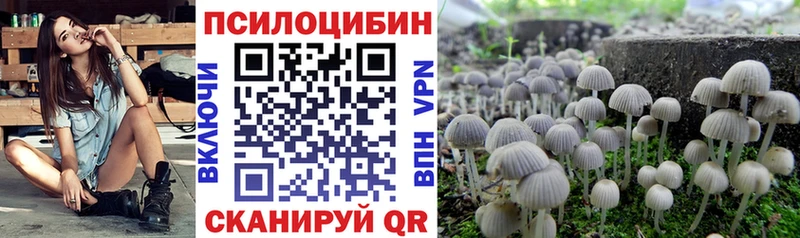 Галлюциногенные грибы мицелий  где можно купить   Кяхта 